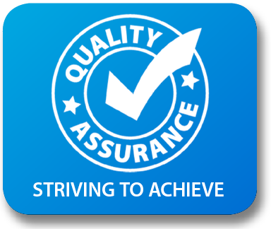Quality assurance icon