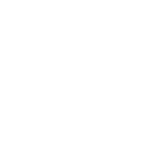 Google my Business